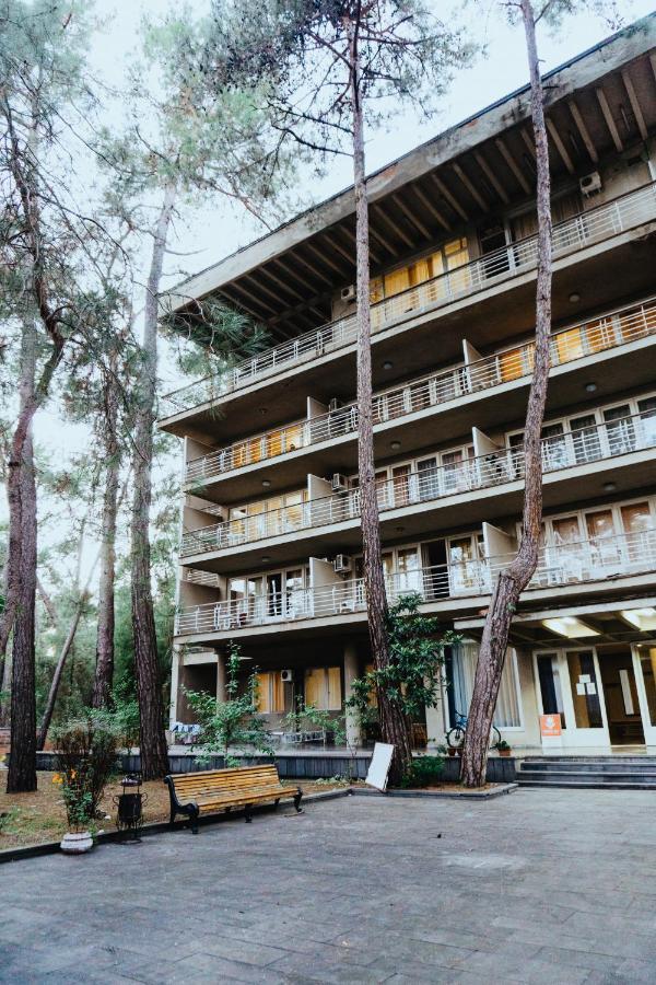 Gosdacha Ldzaa Otel Lidzava Dış mekan fotoğraf