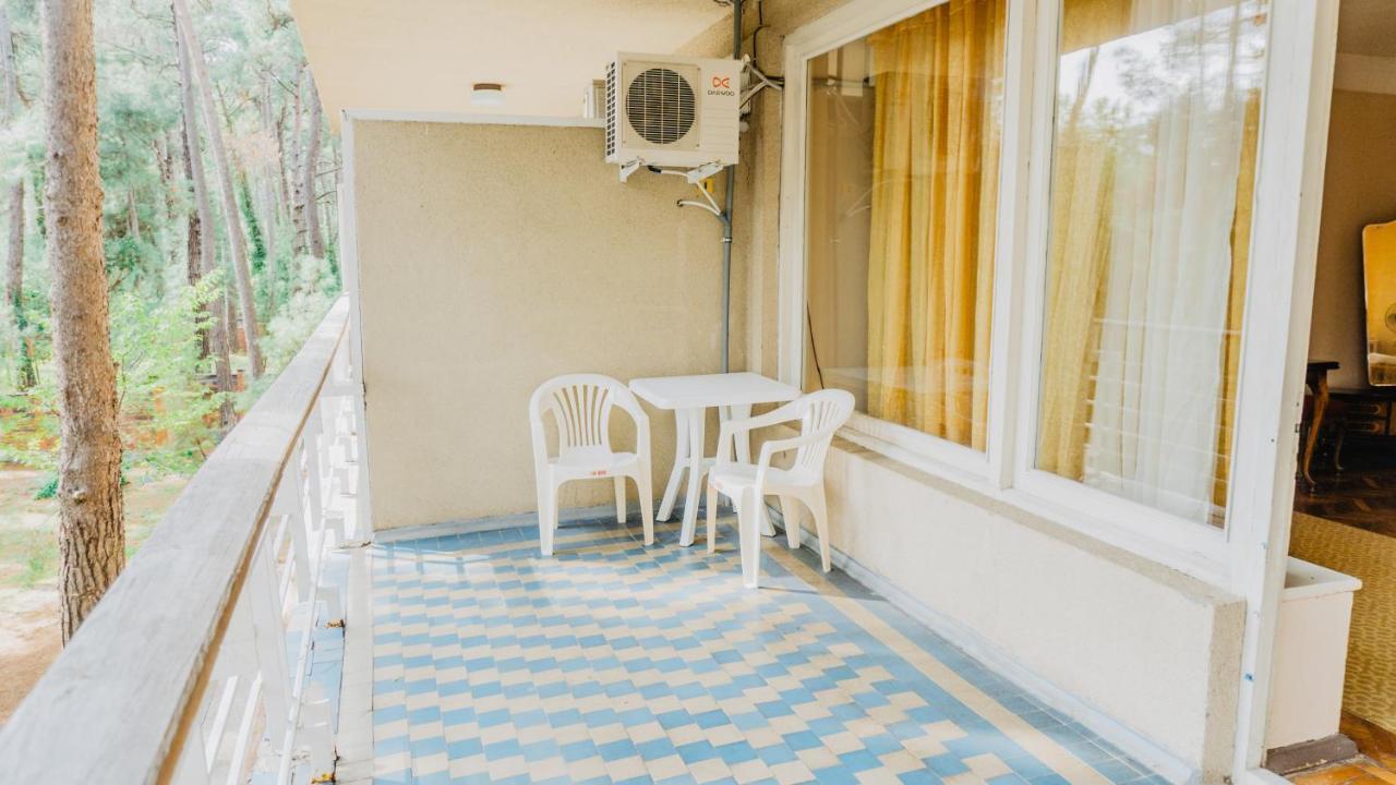 Gosdacha Ldzaa Otel Lidzava Dış mekan fotoğraf