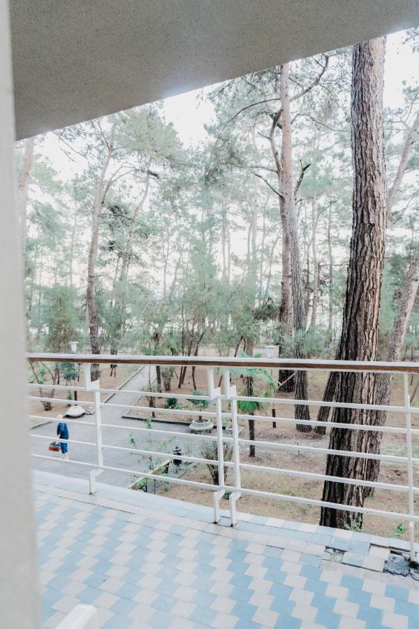 Gosdacha Ldzaa Otel Lidzava Dış mekan fotoğraf