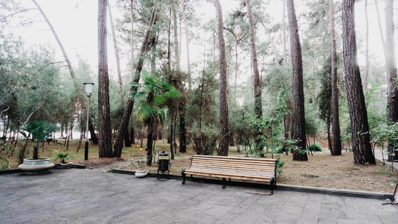 Gosdacha Ldzaa Otel Lidzava Dış mekan fotoğraf